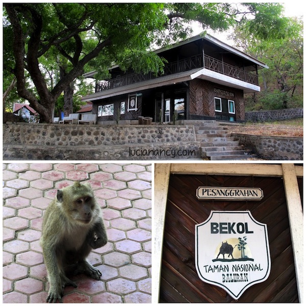 Pesanggerahan Bekol yang  paginya didatangi banyak monyet. Jangan dikasih makan ya supaya mereka nggak ganas kaya monyet-monyet di Uluwatu.